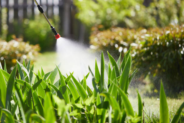24/7 Emergency Wasp Removal experts in Twentynine Palms, CA